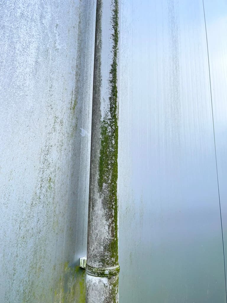 VOOR: Groene aanslag verwijderen